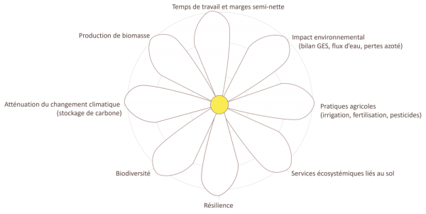 indic